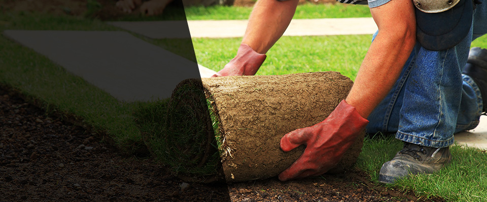 Aledo Landscapers